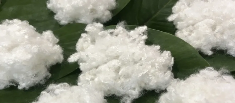 Чи є поліестер синтетичним волокном? Дещо, що тобі потрібно знати